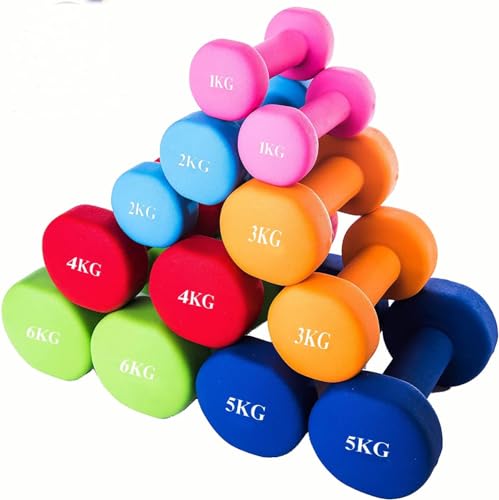 鉄アレイ 2kg」の人気商品一覧 | 安い商品を通販サイトから探す - 価格.com